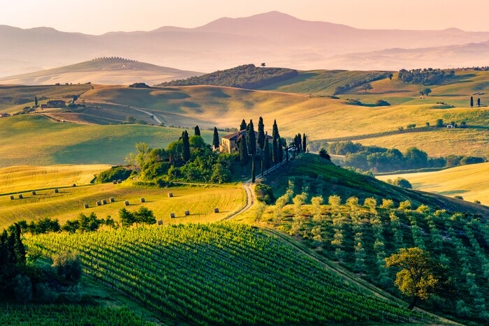 Toscana lainelised põllud, viinamarjaistandused ja küpressidega maamaja